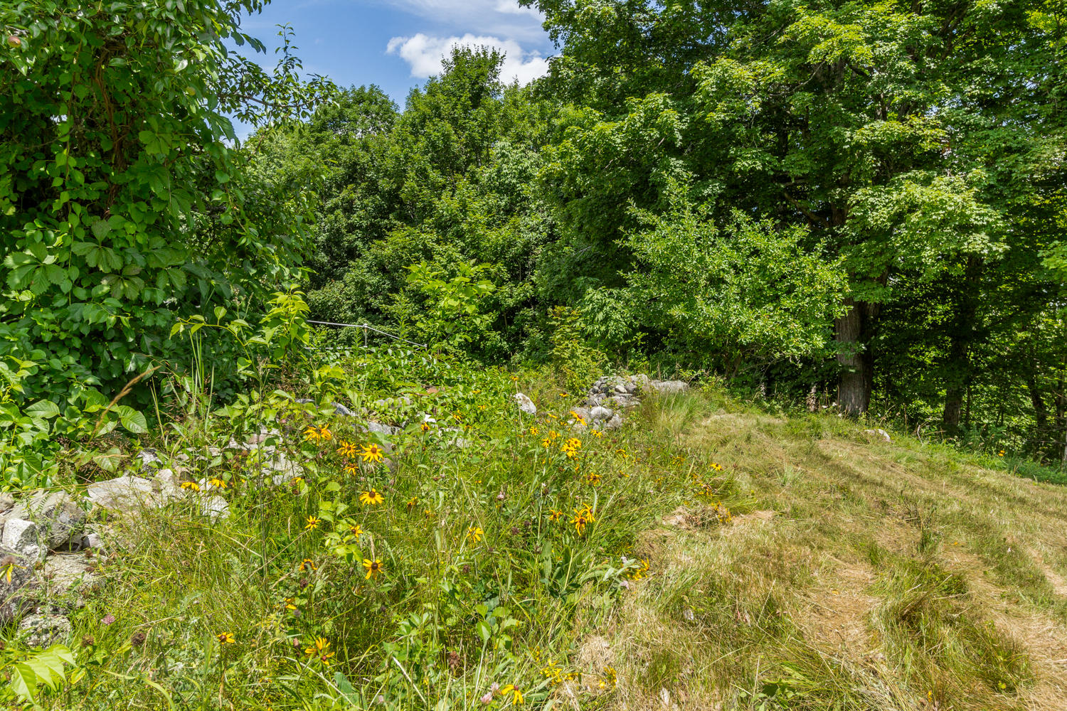 333 North Raymond Road New Gloucester, ME 04260 - Photo 38 of 45 20190724rf-73055