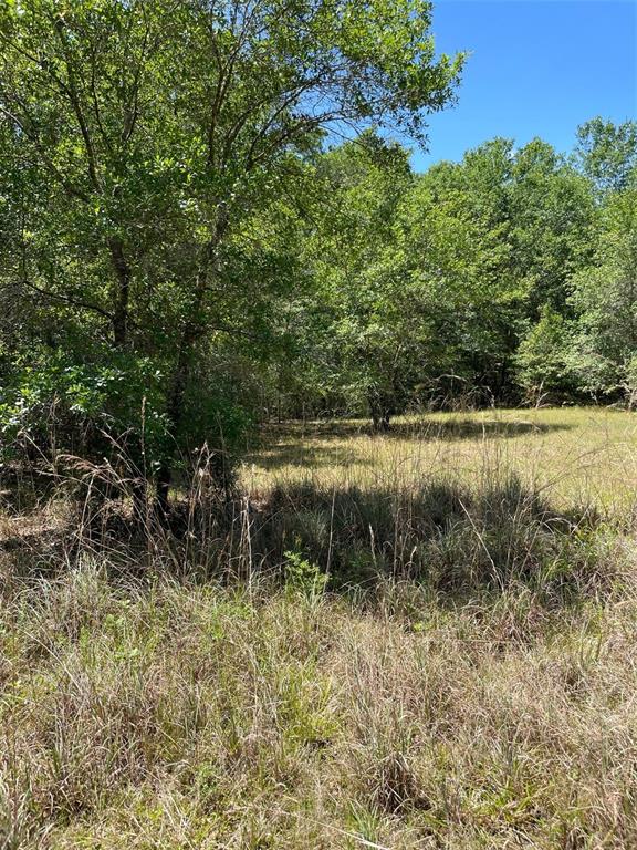 9368 East Riveroak Lane Inverness, FL 34453 - Photo 1 of 6