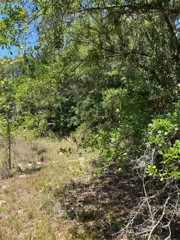 9368 East Riveroak Lane Inverness, FL 34453 - Photo 3 of 6