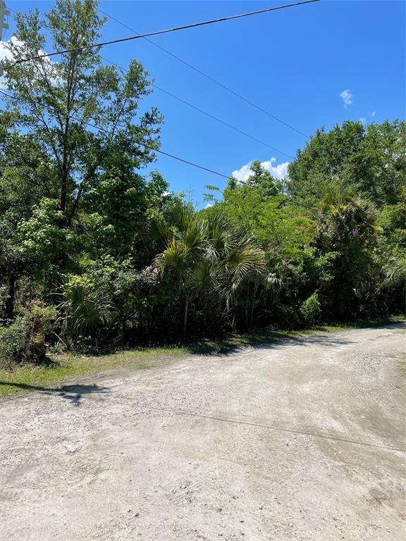 9368 East Riveroak Lane Inverness, FL 34453 - Photo 5 of 6