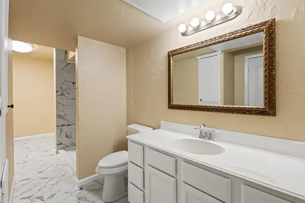 a bathroom with a toilet a sink a vanity and mirror