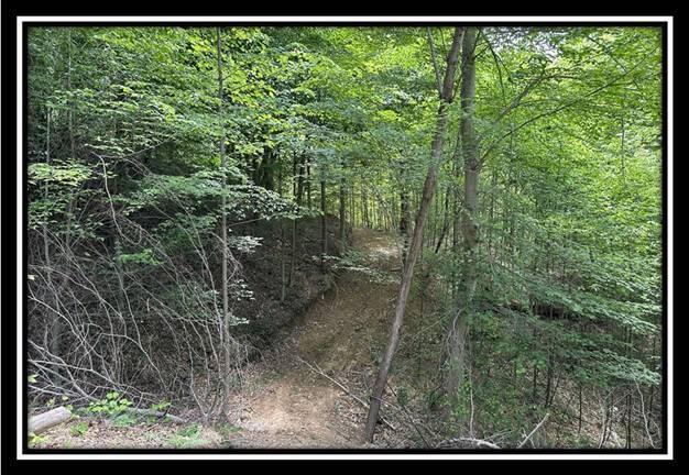 167 Weaver Road, Unit TRACT A) Chillicothe, OH 45601 - Photo 38 of 45 image038