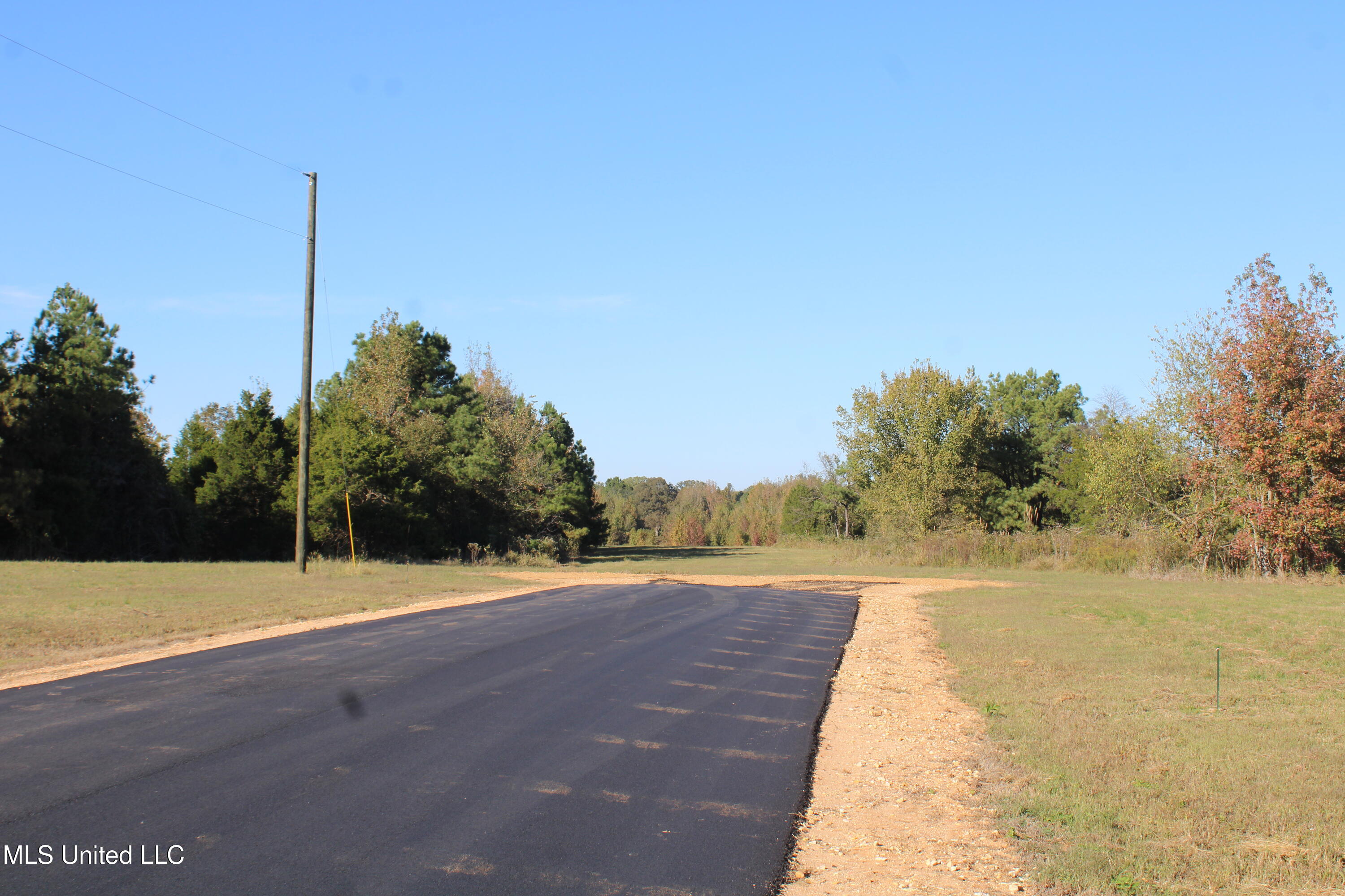 133 Bull Horn Road Como, MS 38619 - Photo 19 of 21 IMG_6848