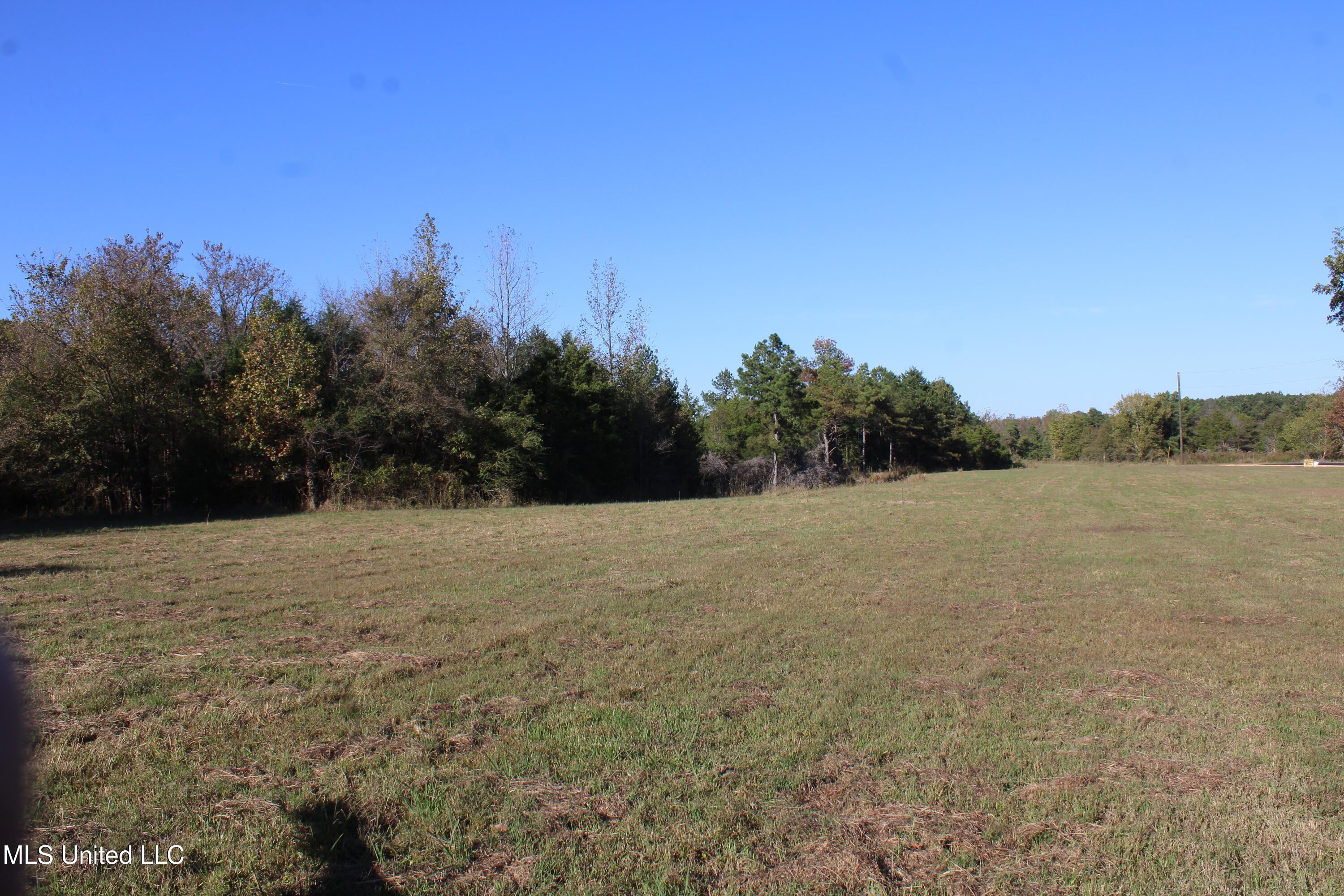 133 Bull Horn Road Como, MS 38619 - Photo 7 of 21 IMG_6836
