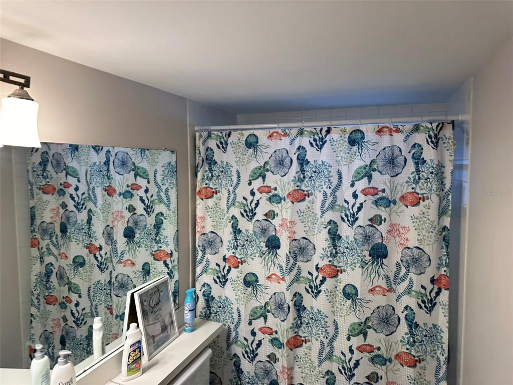 5154 Turquoise Lane, Unit 206 New Port Richey, FL 34652 - Photo 40 of 54 walk in closet with window and shower