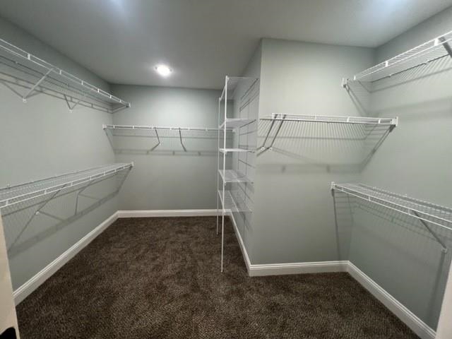 801 Rabon Road Aynor, SC 29511 - Photo 12 of 22