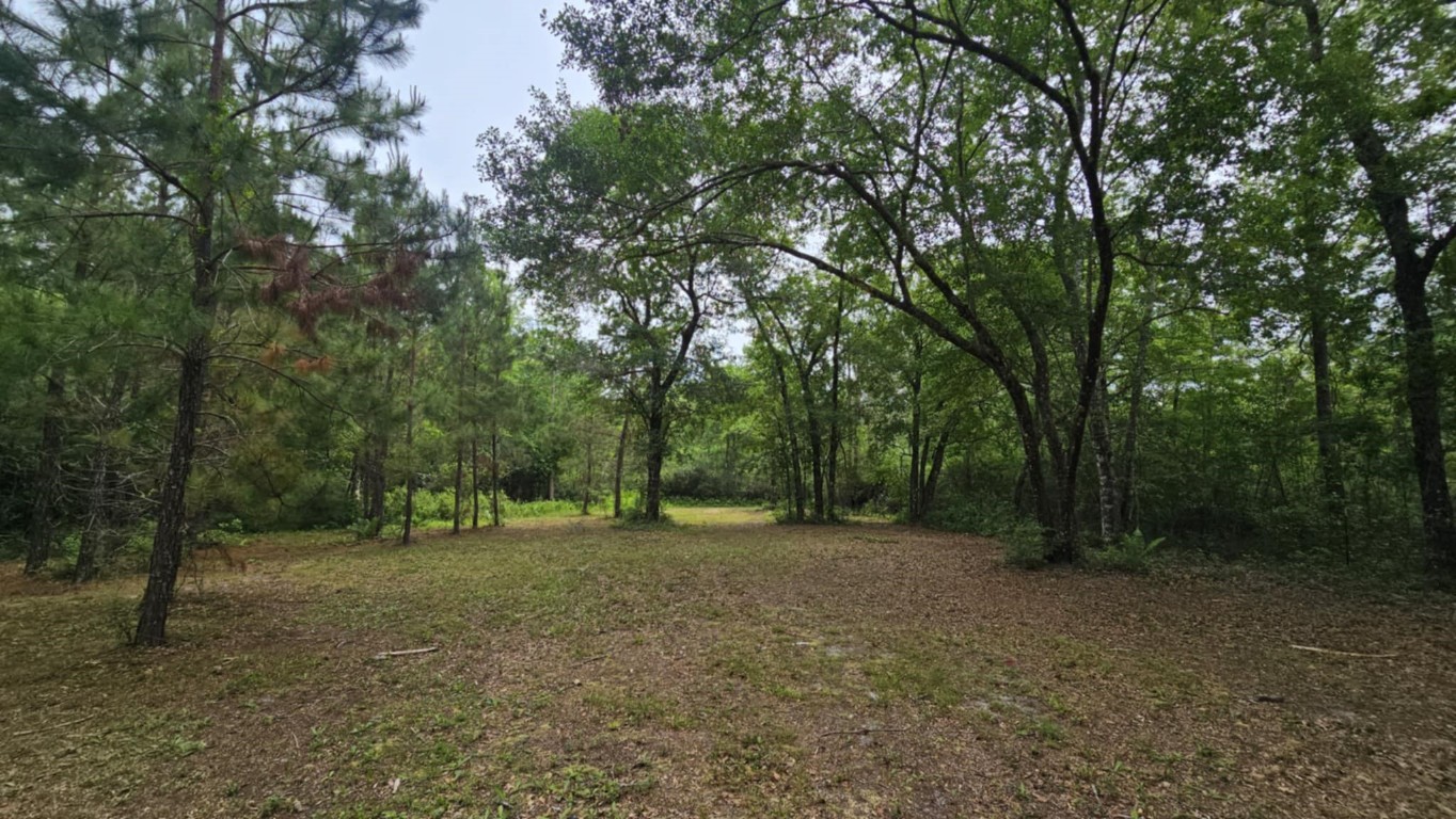 17187 Liller Road Hilliard, FL 32046 - Photo 44 of 55 Gallery Image 44