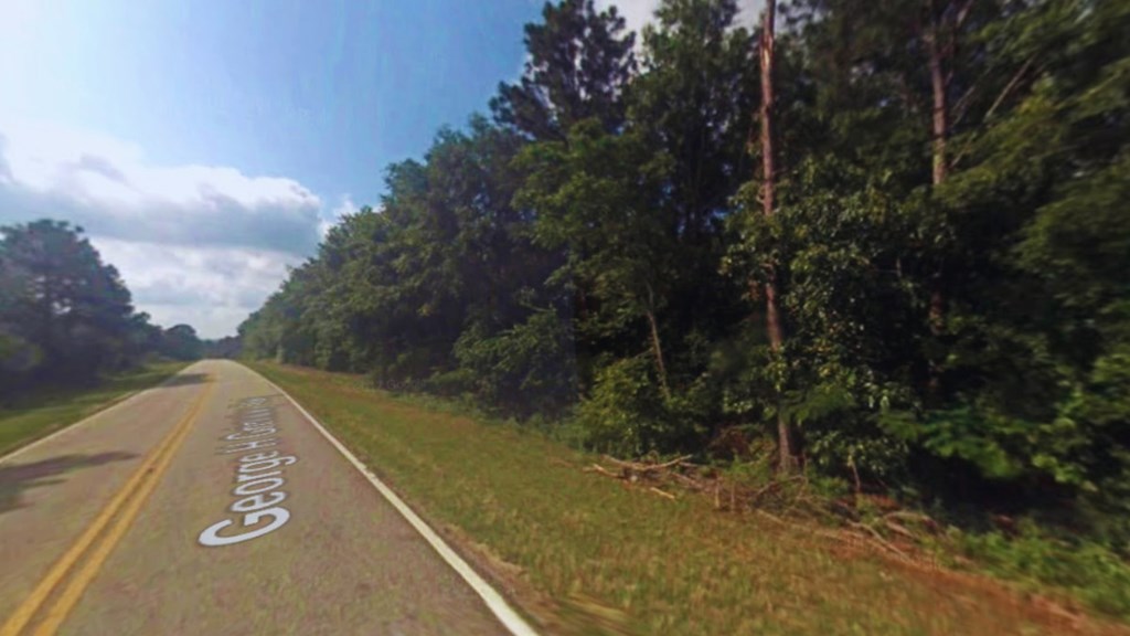 0 Co Road Abbeville, AL 36310 - Photo 17 of 18