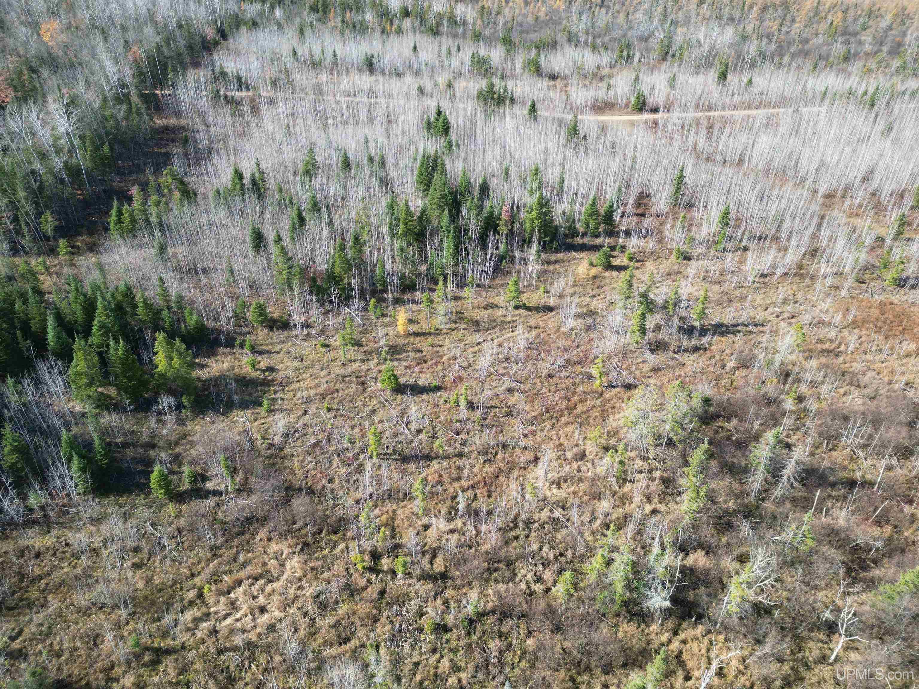 27.5 Rd 28 Acres Trail Gladstone, MI 49837 - Photo 1 of 24