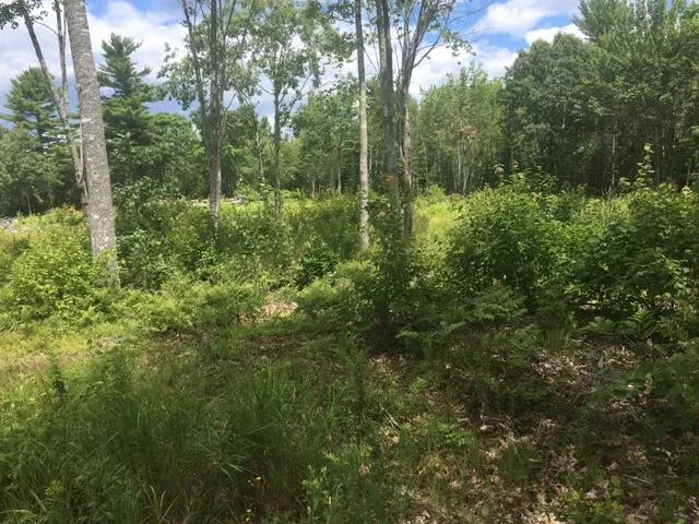 $119,900 | 0 Bucksport Road, Ellsworth, ME 04605