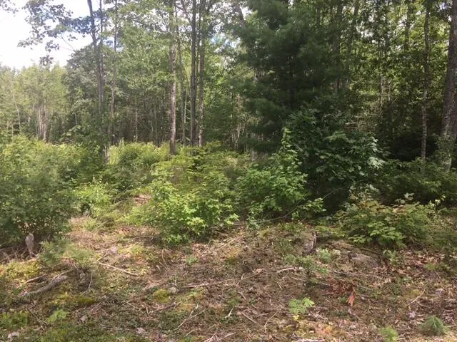 $119,900 | 0 Bucksport Road, Ellsworth, ME 04605