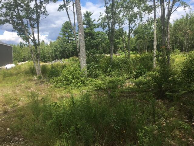 0 Bucksport Road Ellsworth, ME 04605 - Photo 3 of 5 IMG_4687