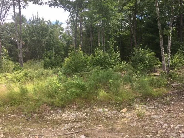 $119,900 | 0 Bucksport Road, Ellsworth, ME 04605