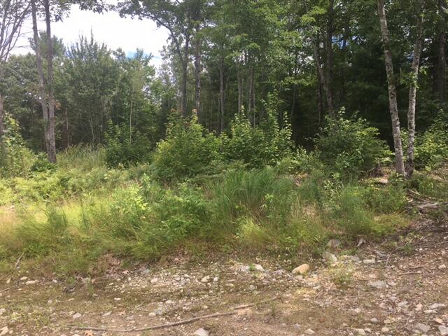 0 Bucksport Road Ellsworth, ME 04605 - Photo 4 of 5 IMG_4684