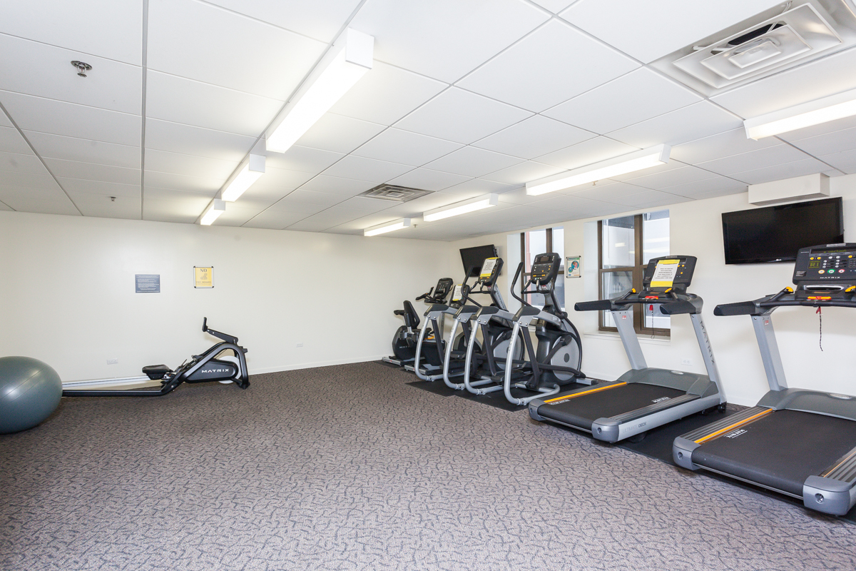 1250 South Indiana Avenue, Unit 812 Chicago, IL 60605 - Photo 20 of 23 a view of a room with gym equipment