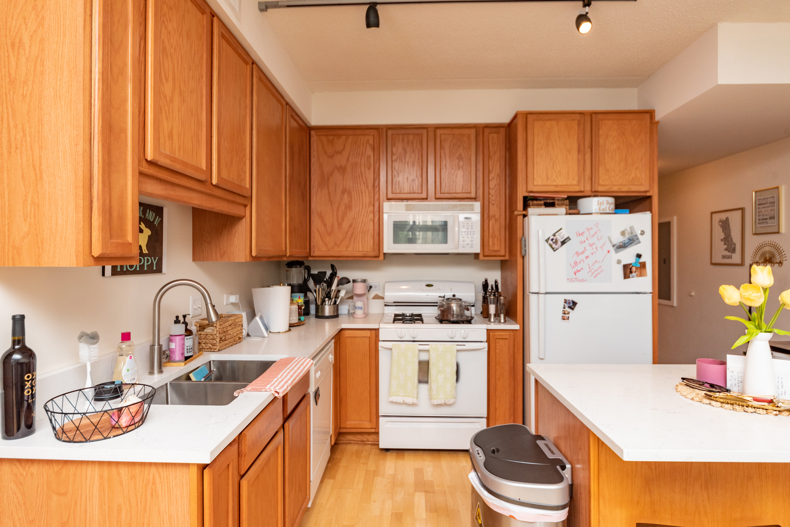 1250 South Indiana Avenue, Unit 812 Chicago, IL 60605 - Photo 5 of 23 a kitchen with a sink stove and refrigerator