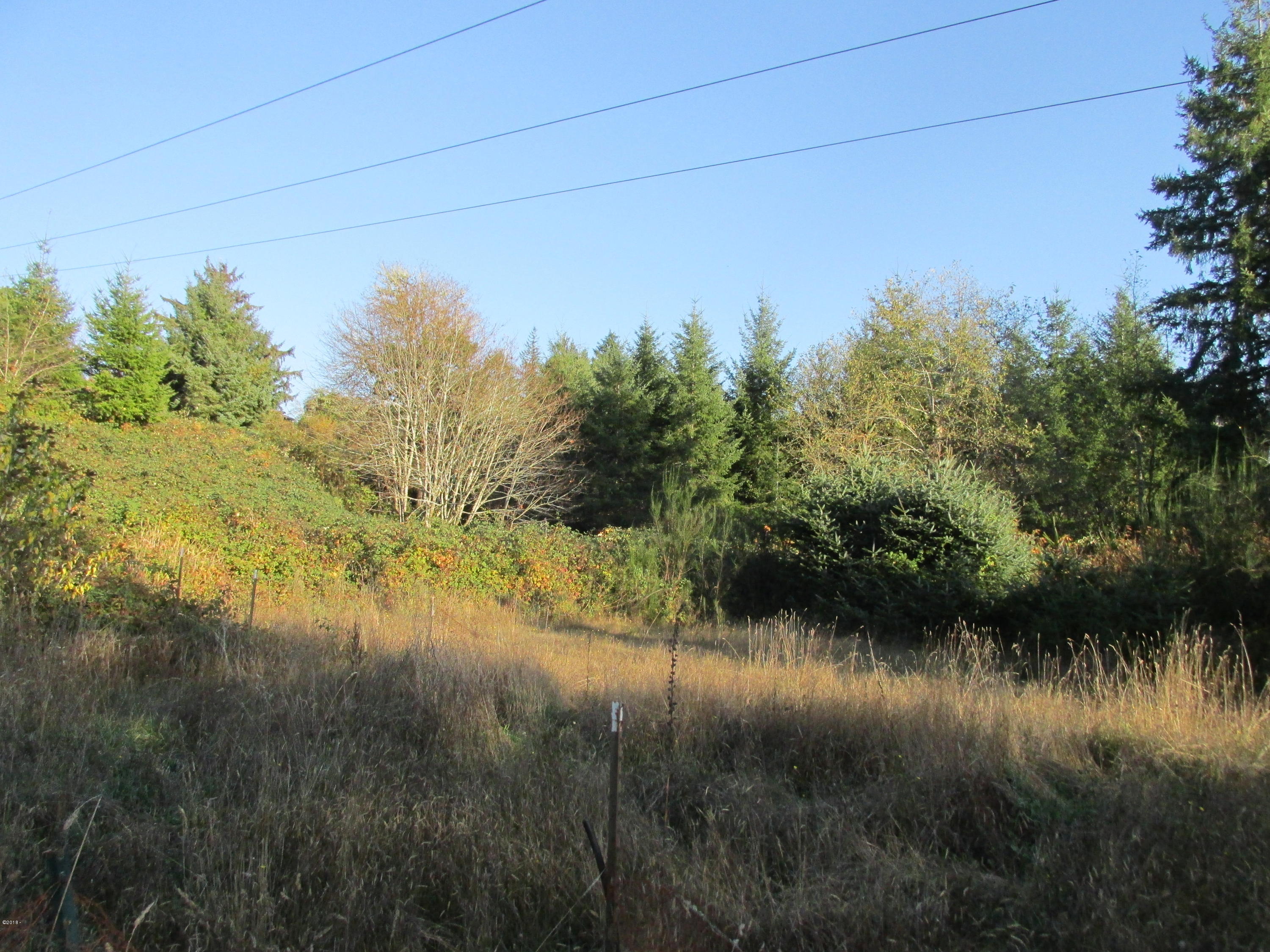 516 Elk City Road Toledo, OR 97391 - Photo 5 of 15 Private secluded setting