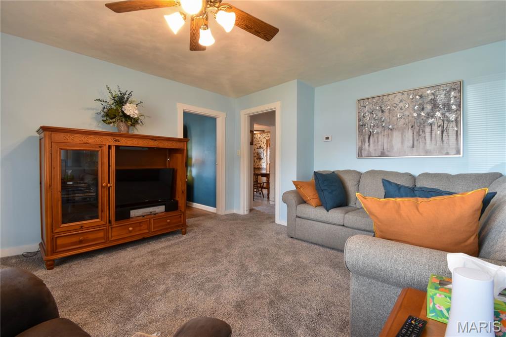 719 Bunker Hill Road Staunton, IL 62088 - Photo 3 of 30