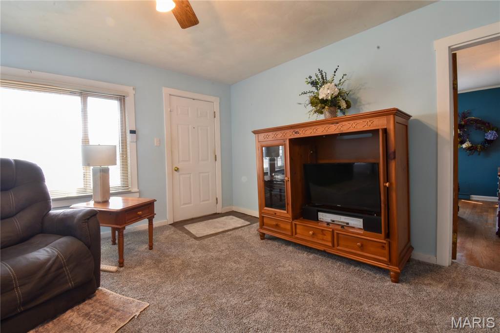 719 Bunker Hill Road Staunton, IL 62088 - Photo 4 of 30