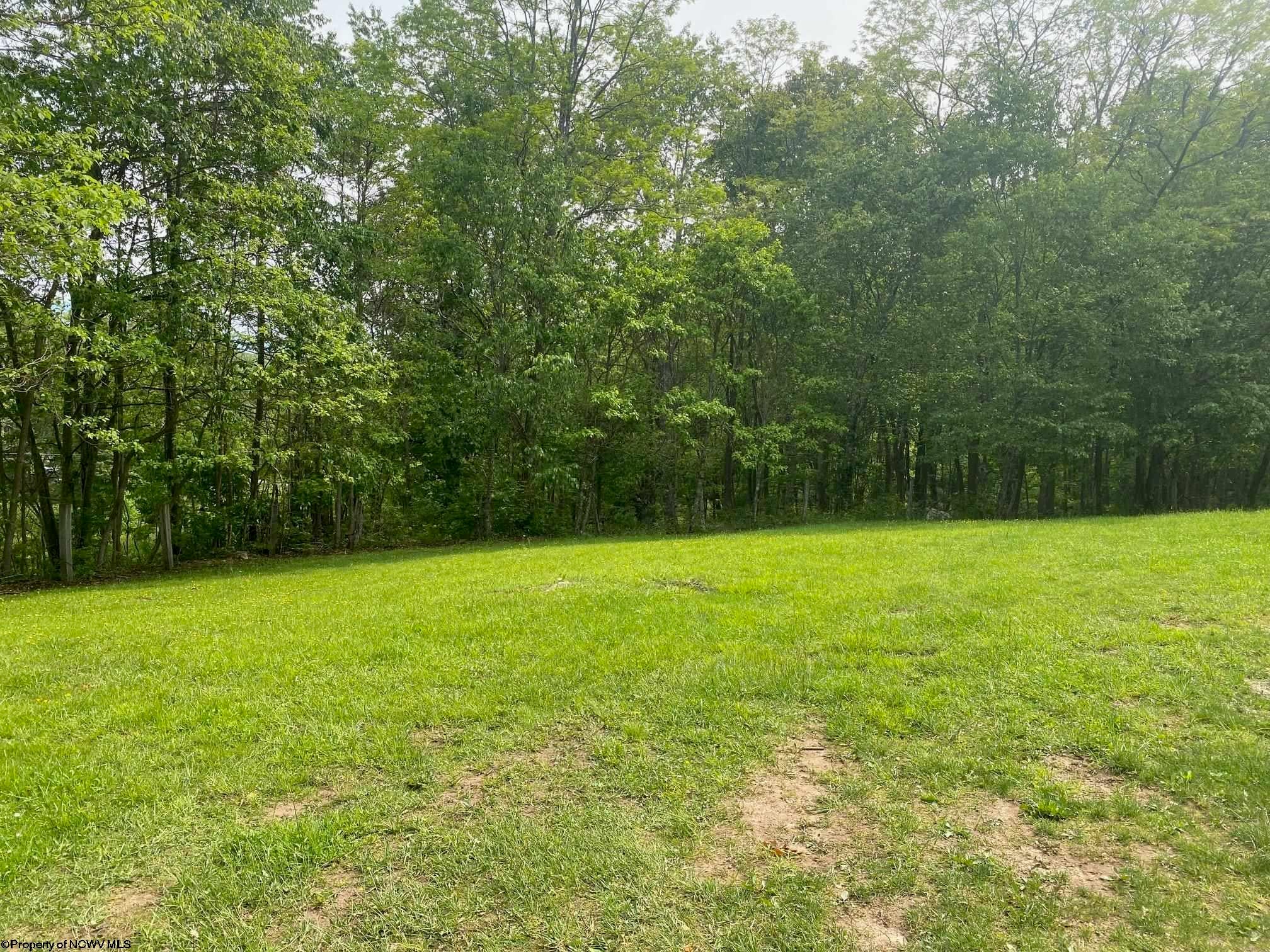 12677 Back Mountain Road Durbin, WV 26264 - Photo 12 of 27 Gallery Image 12