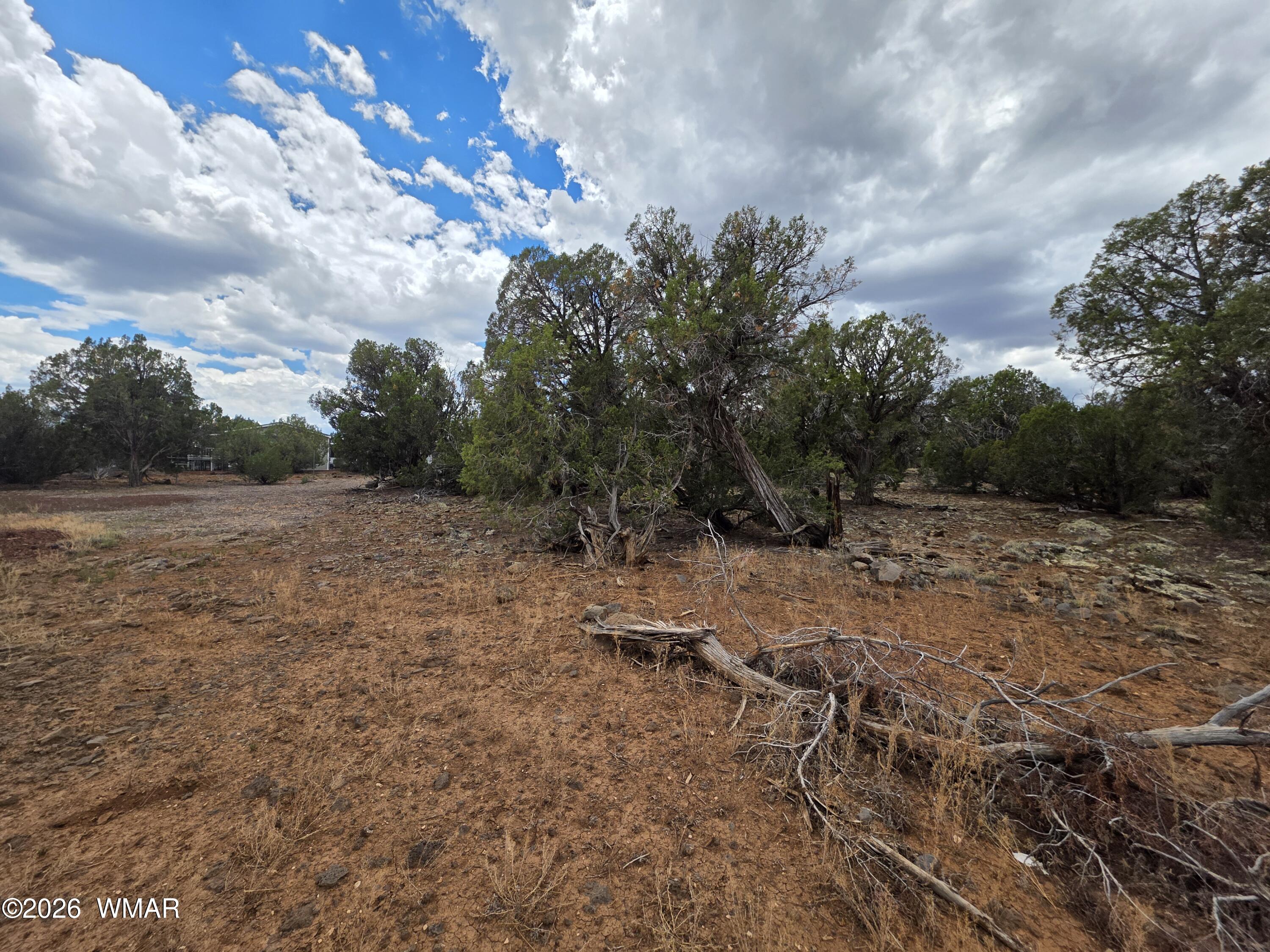 2075 Parker Ranch Road Show Low, AZ 85901 - Photo 14 of 29