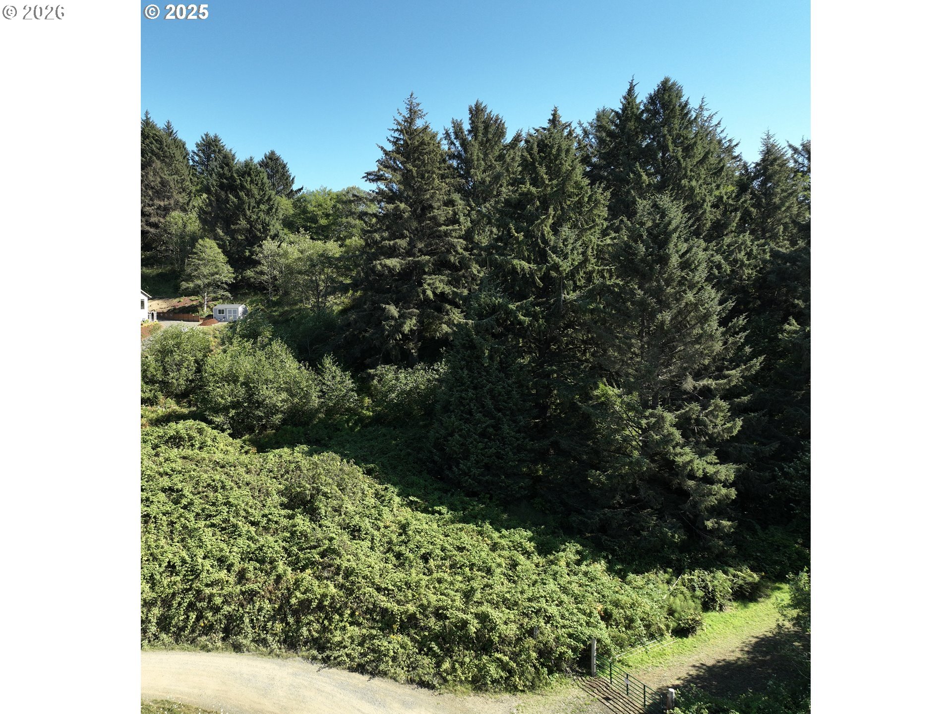 Scherzinger Road Neskowin, OR 97149 - Photo 3 of 8 a view of a garden