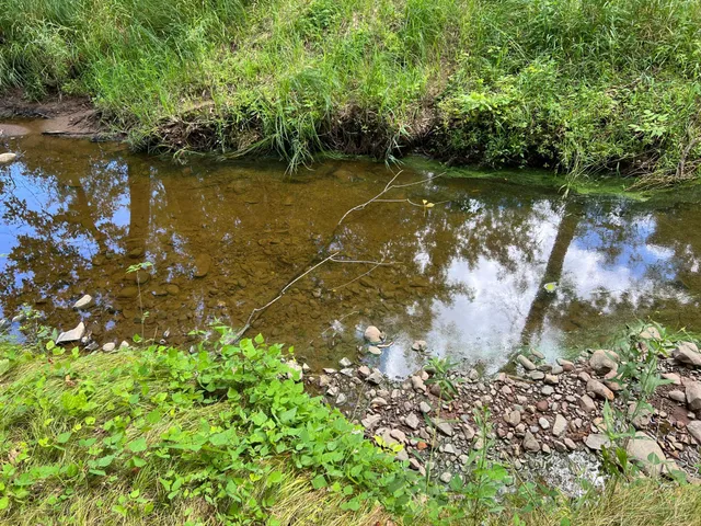 $99,000 | 0 River Island Road, Pine City, MN 55063