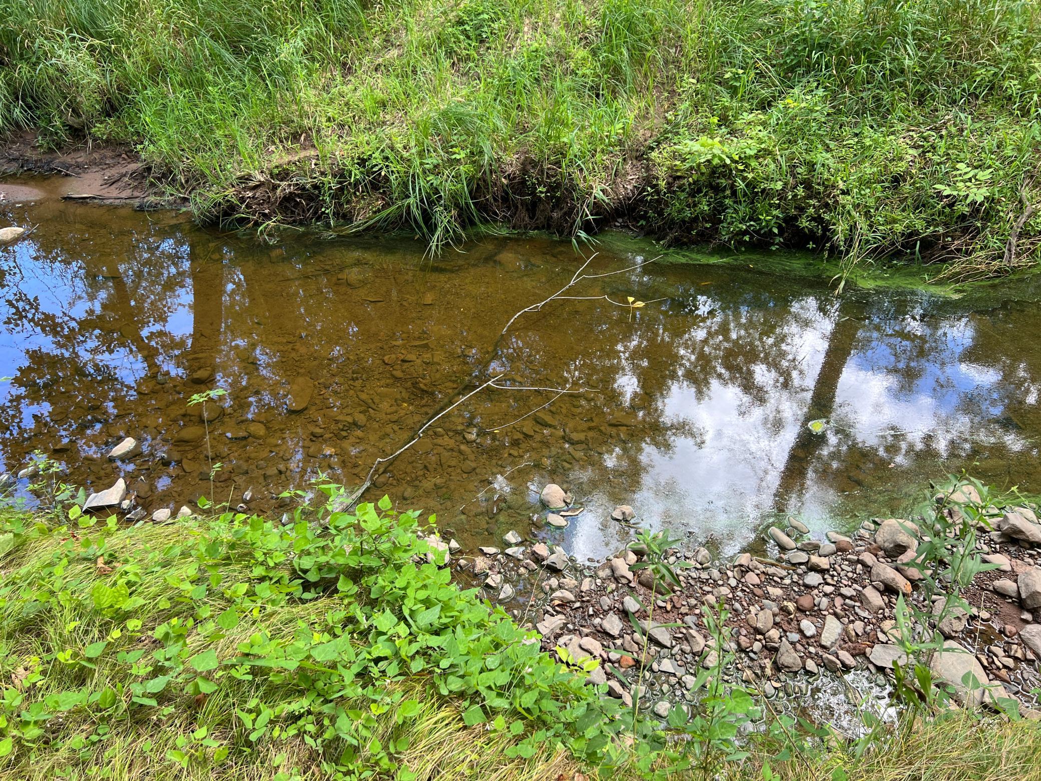 0 River Island Road Pine City, MN 55063 - Photo 12 of 29