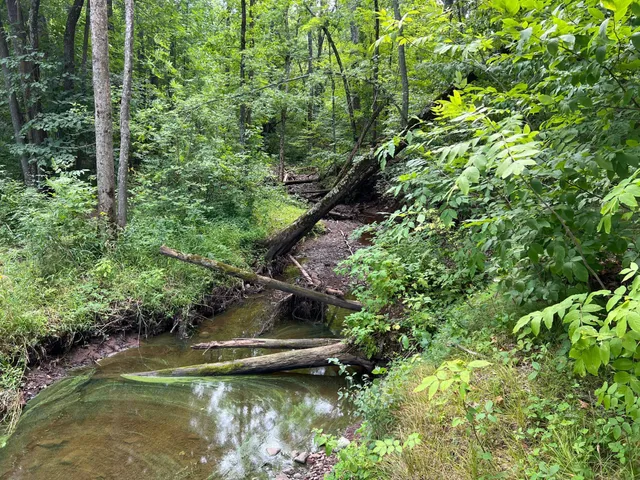 $99,000 | 0 River Island Road, Pine City, MN 55063