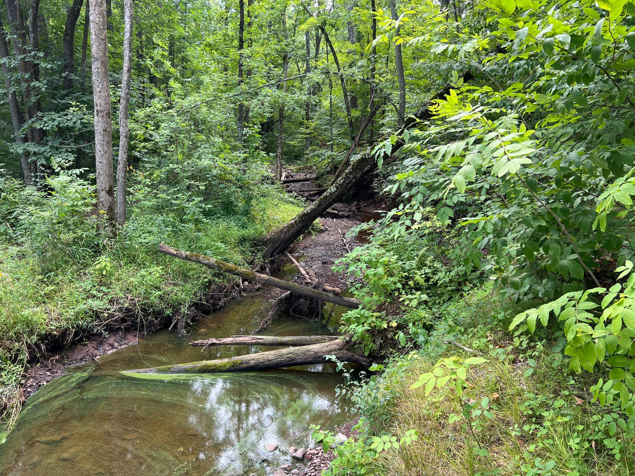 0 River Island Road Pine City, MN 55063 - Photo 13 of 29