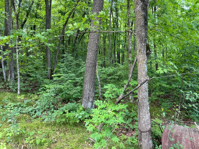 $99,000 | 0 River Island Road, Pine City, MN 55063