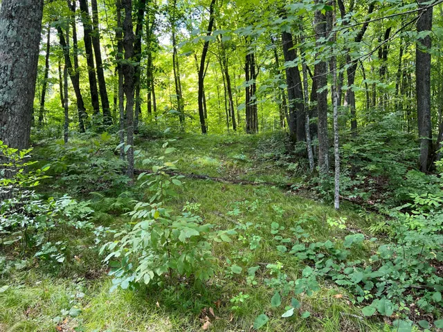 $99,000 | 0 River Island Road, Pine City, MN 55063