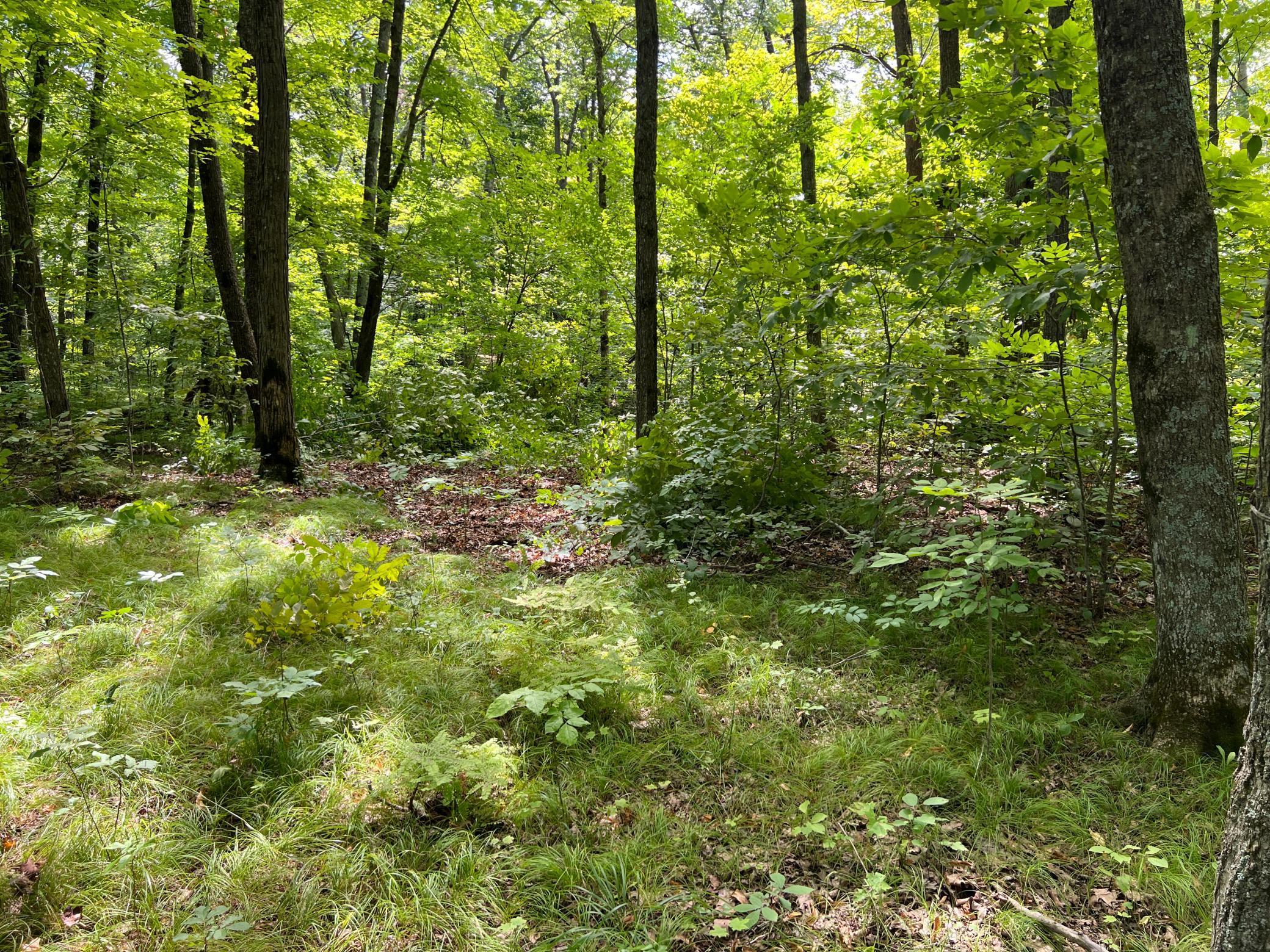 0 River Island Road Pine City, MN 55063 - Photo 17 of 29