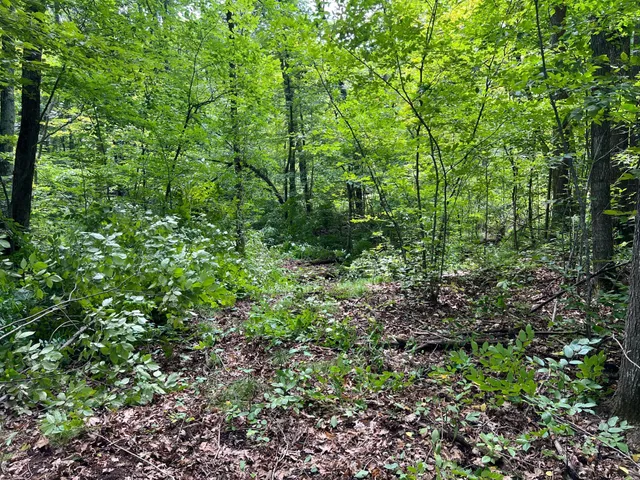 $99,000 | 0 River Island Road, Pine City, MN 55063