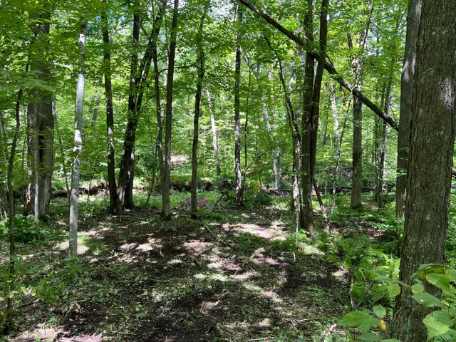 $99,000 | 0 River Island Road, Pine City, MN 55063