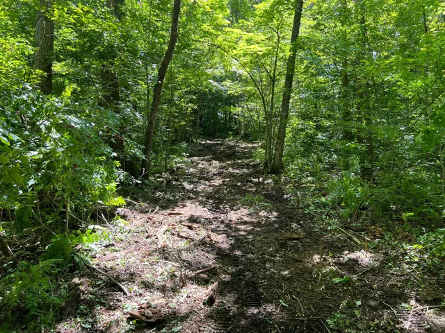 $99,000 | 0 River Island Road, Pine City, MN 55063