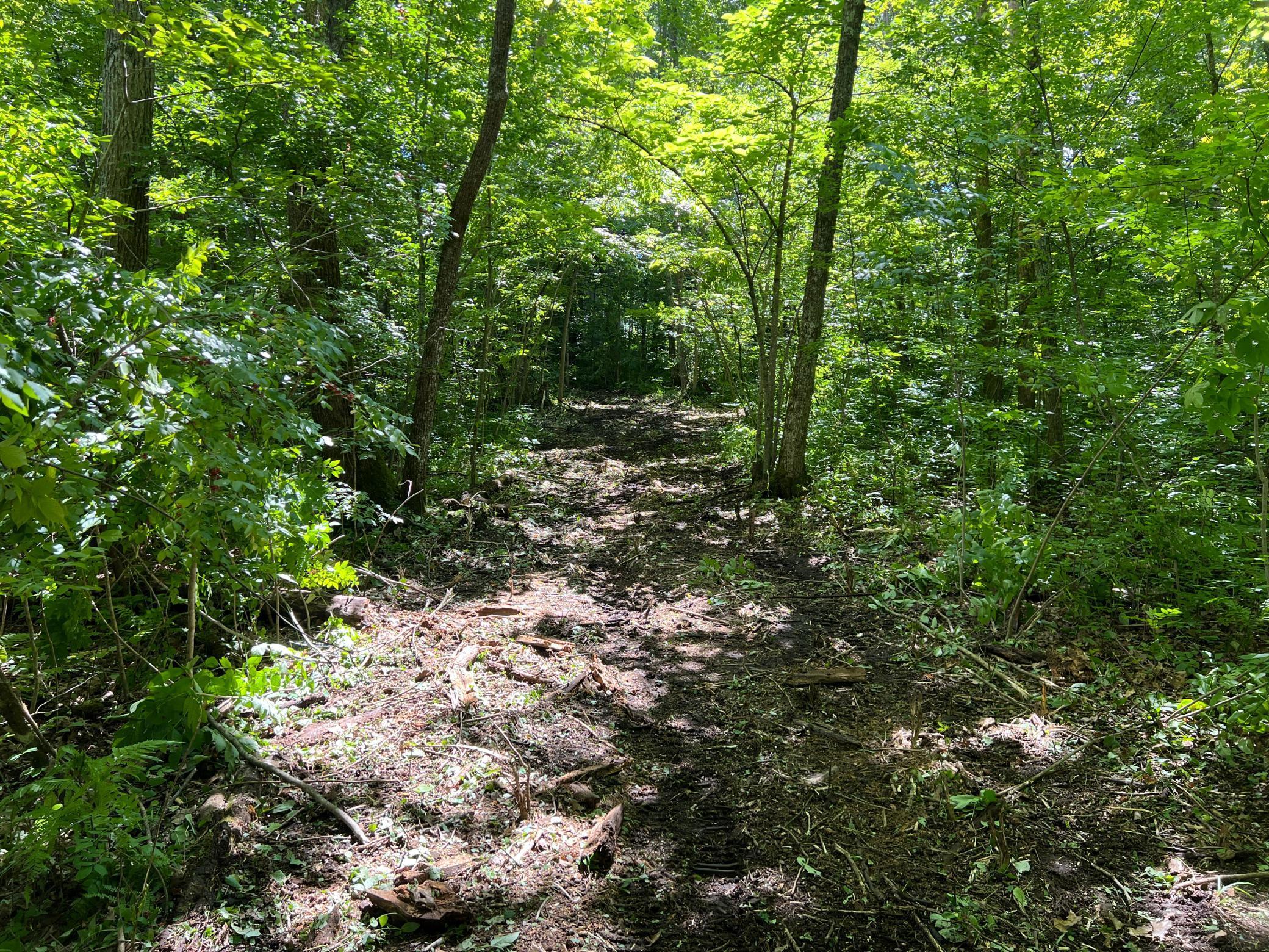 0 River Island Road Pine City, MN 55063 - Photo 20 of 29