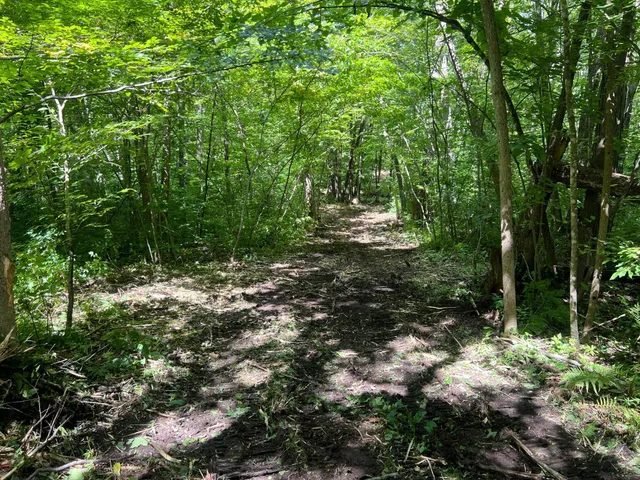 $99,000 | 0 River Island Road, Pine City, MN 55063