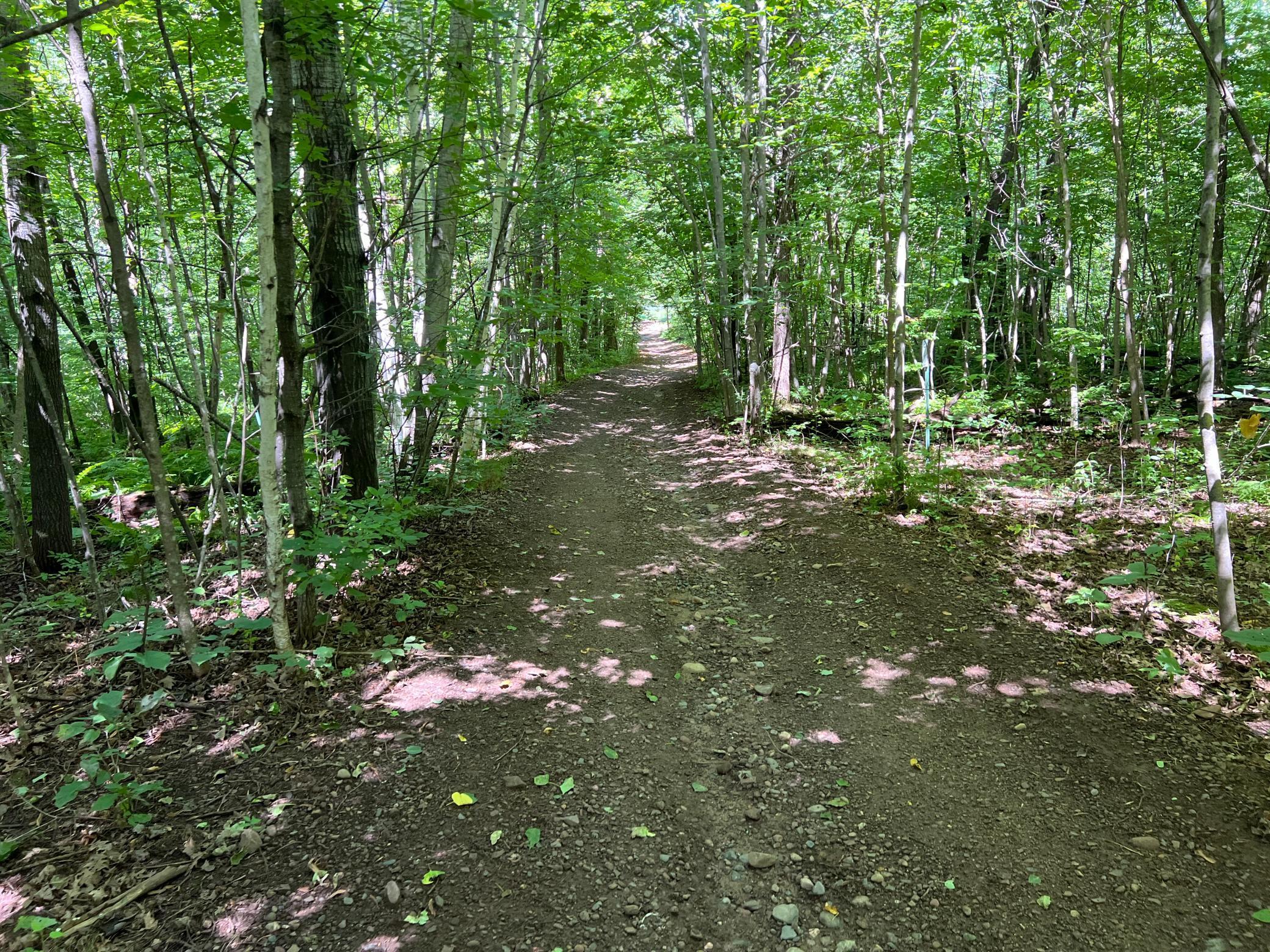 0 River Island Road Pine City, MN 55063 - Photo 22 of 29