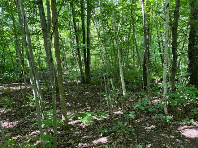 $99,000 | 0 River Island Road, Pine City, MN 55063