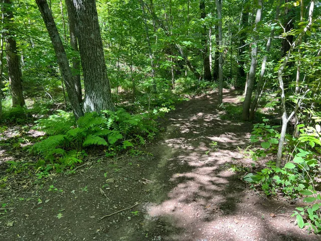 $99,000 | 0 River Island Road, Pine City, MN 55063