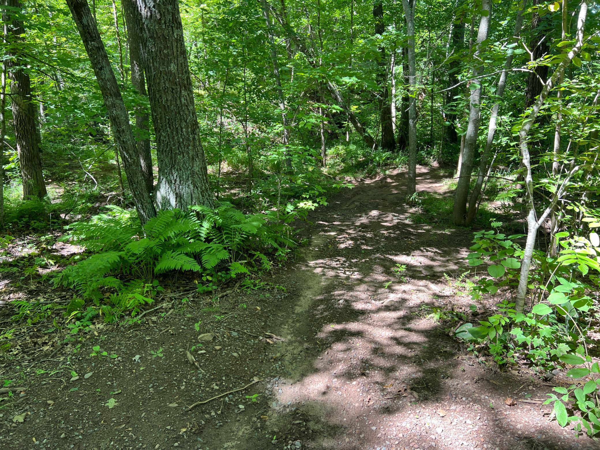 0 River Island Road Pine City, MN 55063 - Photo 24 of 29