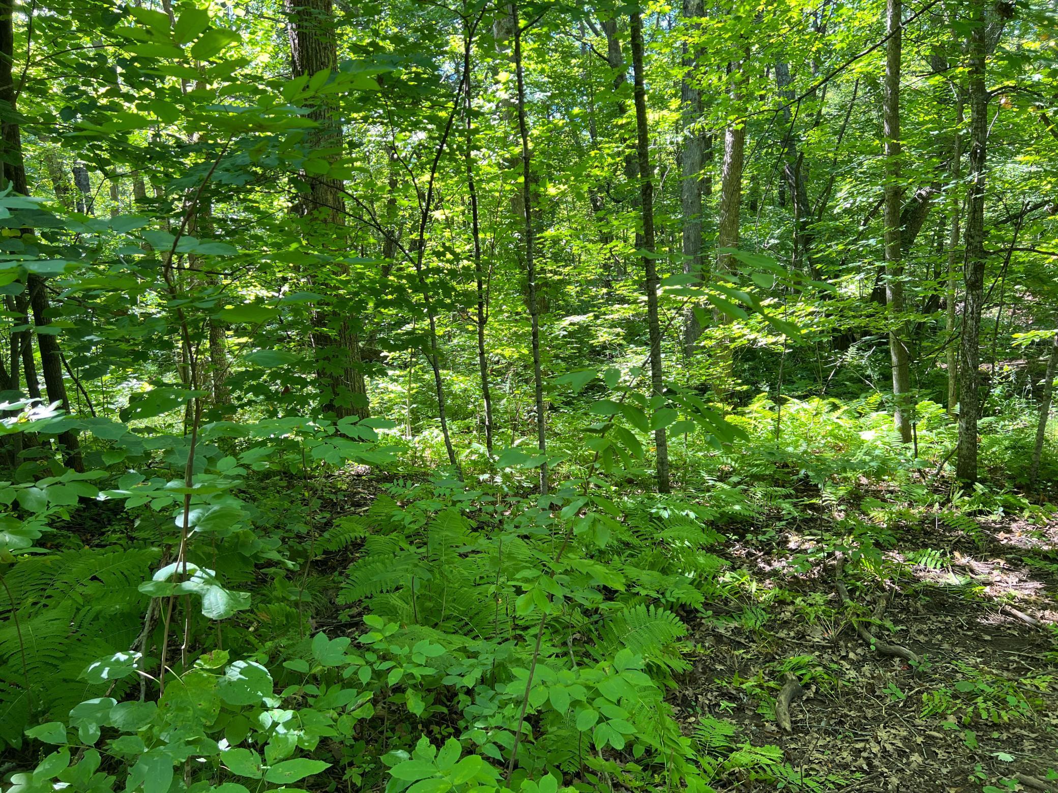 0 River Island Road Pine City, MN 55063 - Photo 25 of 29