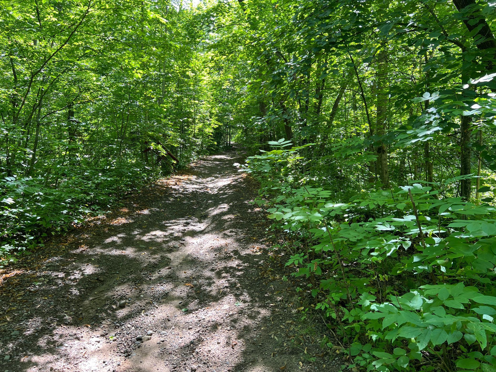 0 River Island Road Pine City, MN 55063 - Photo 26 of 29