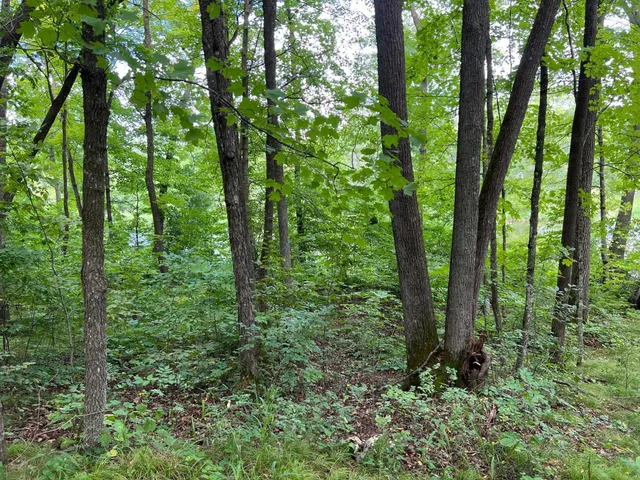 $99,000 | 0 River Island Road, Pine City, MN 55063