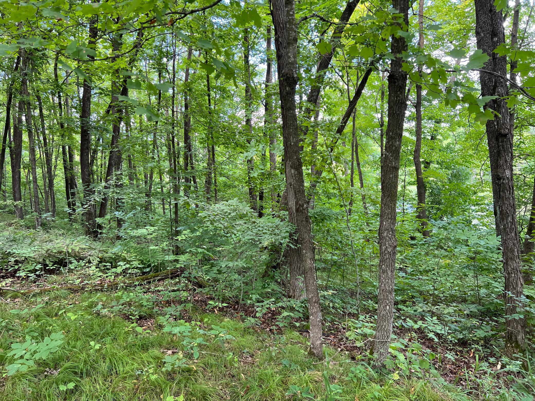 0 River Island Road Pine City, MN 55063 - Photo 5 of 29