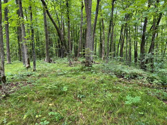 $99,000 | 0 River Island Road, Pine City, MN 55063