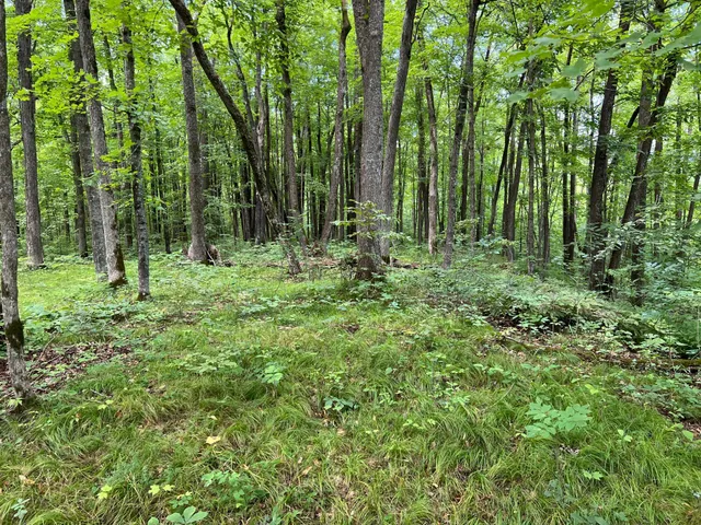 $99,000 | 0 River Island Road, Pine City, MN 55063