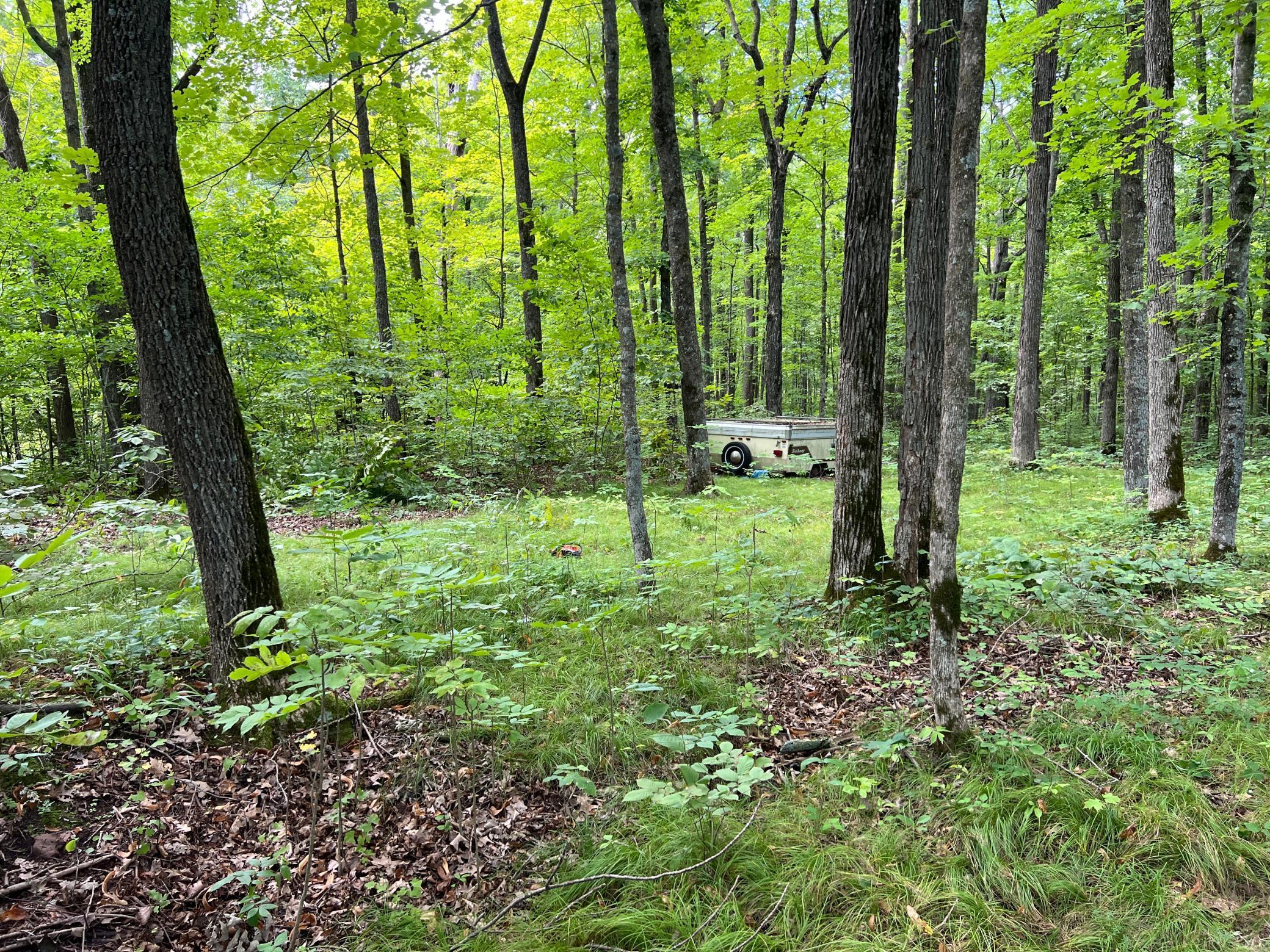 0 River Island Road Pine City, MN 55063 - Photo 8 of 29