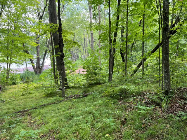 $99,000 | 0 River Island Road, Pine City, MN 55063